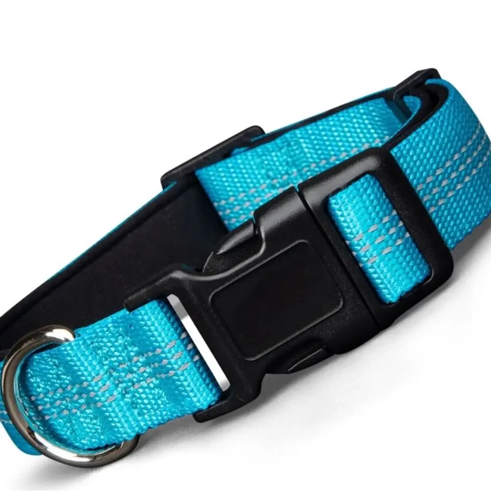 Blazin‎ Reflective Small Dog Collar- Brilliant Blue